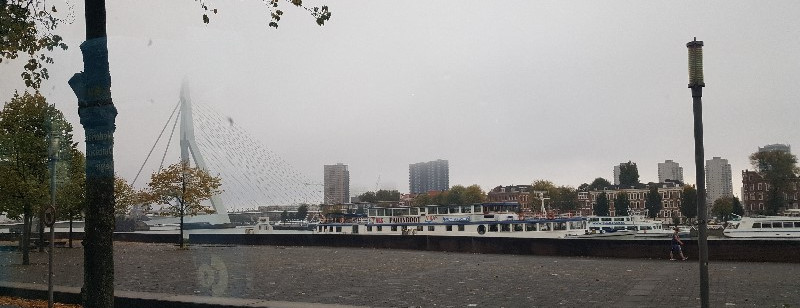 21 oktober 2019 -  - Rondje Rotterdam Zuid - Rotterdam
